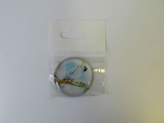 Obrázek z Magnet kulatý kakadu bílý 3,5cm  
